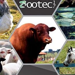 Com formato inovador, 1º Leilão Zootec permite participação de diferentes públicos