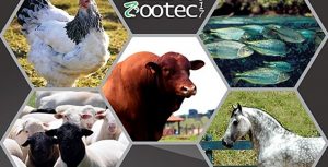 Com formato inovador, 1º Leilão Zootec permite participação de diferentes públicos