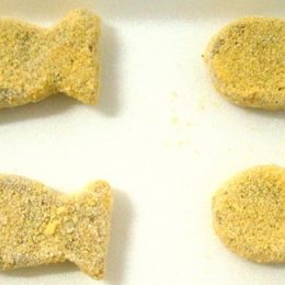 Pesquisa avalia biodiversidade de peixes do Pantanal na fabricação de alimentos