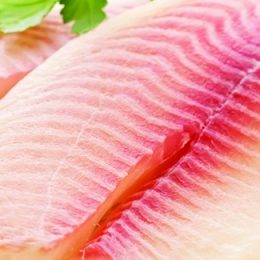 Startup aposta em carne de peixe para entrar no mercado de “proteína limpa”