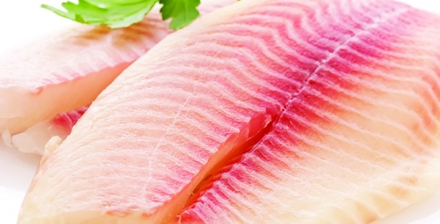 Startup aposta em carne de peixe para entrar no mercado de “proteína limpa”