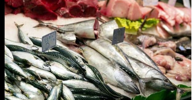 Governo fiscaliza pescados em 13 estados