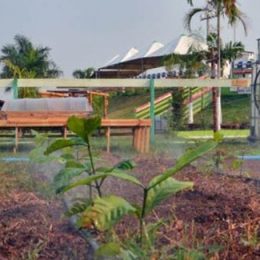 Piscicultura e agricultura são fortalecidas pela qualidade dos recursos hídricos de Rondônia