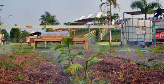 Piscicultura e agricultura são fortalecidas pela qualidade dos recursos hídricos de Rondônia