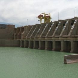 Peixes que sumiram no Rio São Francisco são reproduzidos em cativeiro em Pernambuco