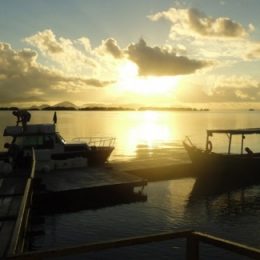 Produção pesqueira no litoral do Paraná cresceu 11,7% em 2015