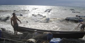 Governo do Estado simplifica emissão de documentos para fomentar a atividade aquícola no Estado de São Paulo