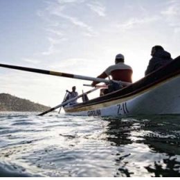 Mapa indefere concessão de pesca da tainha para 50 embarcações