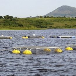 Governo de Minas Gerais soma esforços para agilizar o licenciamento ambiental dos piscicultores