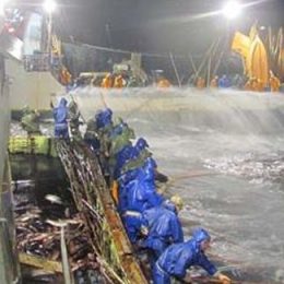 Pesca industrial ganha força no Brasil