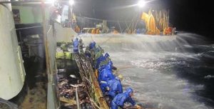 Pesca industrial ganha força no Brasil