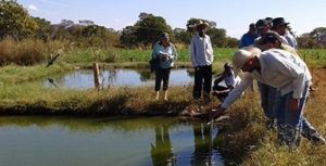 Após curso, criadores de peixes melhoram de vida no Noroeste de Minas Gerais