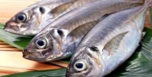 Pescado entra no cardápio do brasileiro: 400 mil toneladas são importadas anualmente para abastecer o mercado interno