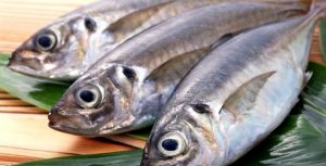 Pescado tem potencial para se tornar a principal proteína, no futuro