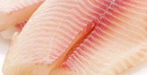 Tilápia pede passagem