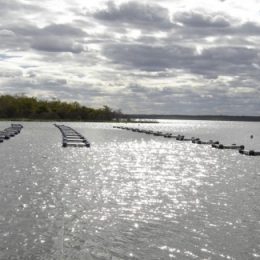 Secretaria de Agricultura firma convênio com DNOCS e beneficia piscicultores
