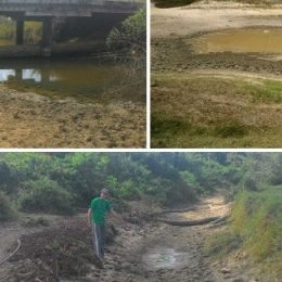 Estiagem afeta criação de peixe, gado e cultivo de banana no interior de RR