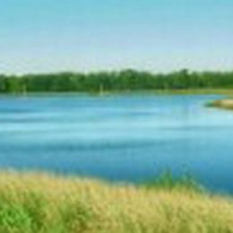 Boas Práticas de Manejo em Aquicultura atendem ao Código Florestal