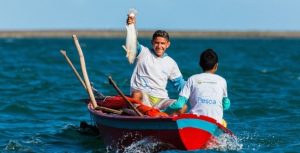 Pesquisa define modelo de gestão da pesca em estuário do Nordeste