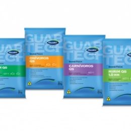 Paraná ocupa primeiro lugar na produção de peixes no Brasil