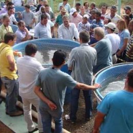 Evento destaca produção de tilápias em fluxo contínuo de água
