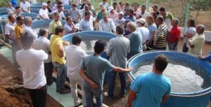 Evento destaca produção de tilápias em fluxo contínuo de água
