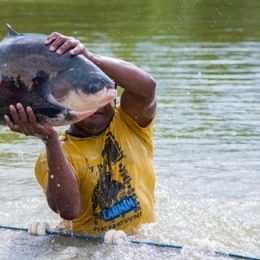 Piscicultura volta a crescer e safra pode render R$ 1 milhão a produtores de Laguna Carapã/MS