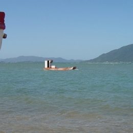 Secretário da Agricultura solicita reestruturação da Coordenação de Pesca e Aquicultura em Santa Catarina