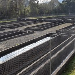 Governo do Estado apresenta investimentos para a cadeia produtiva da piscicultura na Serra Catarinense