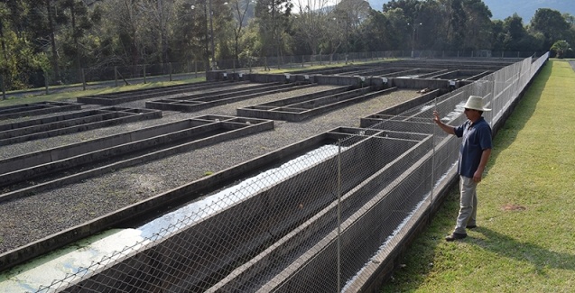 Governo do Estado apresenta investimentos para a cadeia produtiva da piscicultura na Serra Catarinense