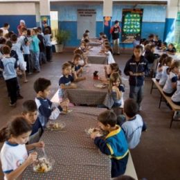 Pescadores e aquicultores fluminenses vendem 5 toneladas de pescado através do PNAE