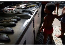 Brasil lidera aumento de consumo de peixes de aquicultura