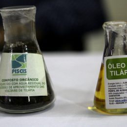 Projeto Biopeixe da UFC recebe prêmio de sustentabilidade