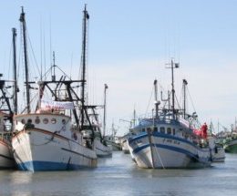 Até recadastramento, secretaria dobra número de pescadores profissionais do País
