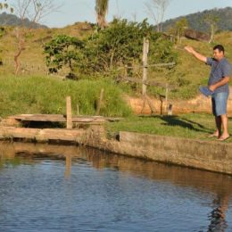 Cadeia produtiva da piscicultura em Rondônia: onde estamos, para onde devemos ir