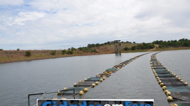 Parceria entre colônia de pescadores e SDR distribui mil quilos de peixes em Conceição do Canindé  
