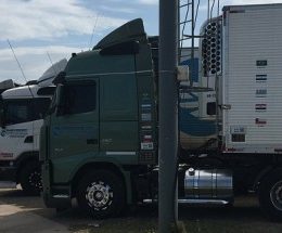 Fluxo de merluza ao Brasil devolve movimento a Mar del Plata