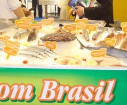 Mapa e MRE garantem participação do Brasil em feiras de Boston e Bruxelas