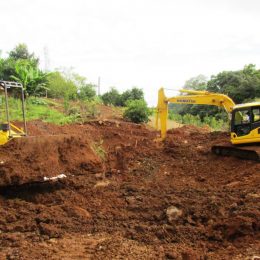 Programa incentiva produtores à criação de peixes em Ipira