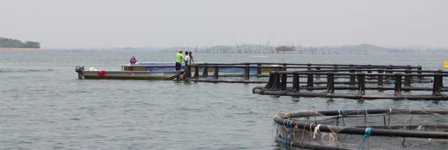 Consulta sobre atividades potencialmente poluidoras do Ibama acaba em 31 de julho