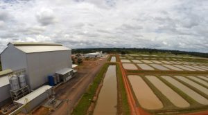 Governo apoia produtores familiares com interesse na piscicultura