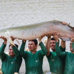 “A piscicultura é a salvação dos médios e pequenos”, afirma produtor