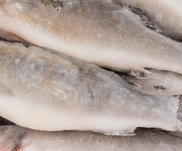 Fiscais revertem prorrogação do prazo para entrada em vigor do RTIQ