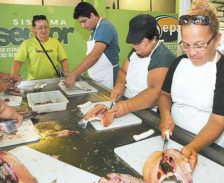 Nova Matriz Econômica Ambiental e as universidades do Amazonas