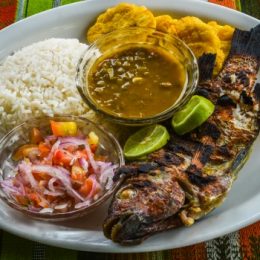 Aprenda como tratar peixes da Amazônia