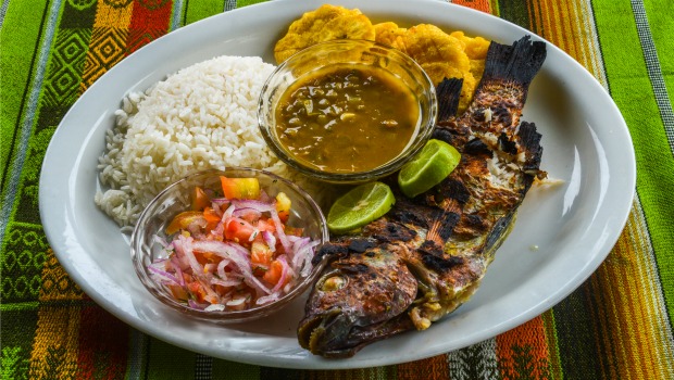 Aprenda como tratar peixes da Amazônia