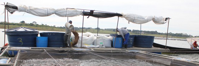 Produção de ração para aquicultura cai 5% no primeiro semestre, diz Sindirações