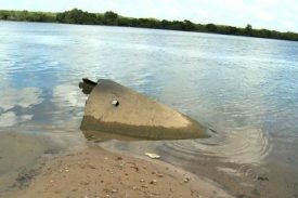 Vazão mínima do São Francisco compromete reprodução de peixes