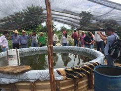 Rondônia busca apoio da Embrapa para solucionar desafios da piscicultura