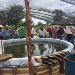 Rondônia busca apoio da Embrapa para solucionar desafios da piscicultura